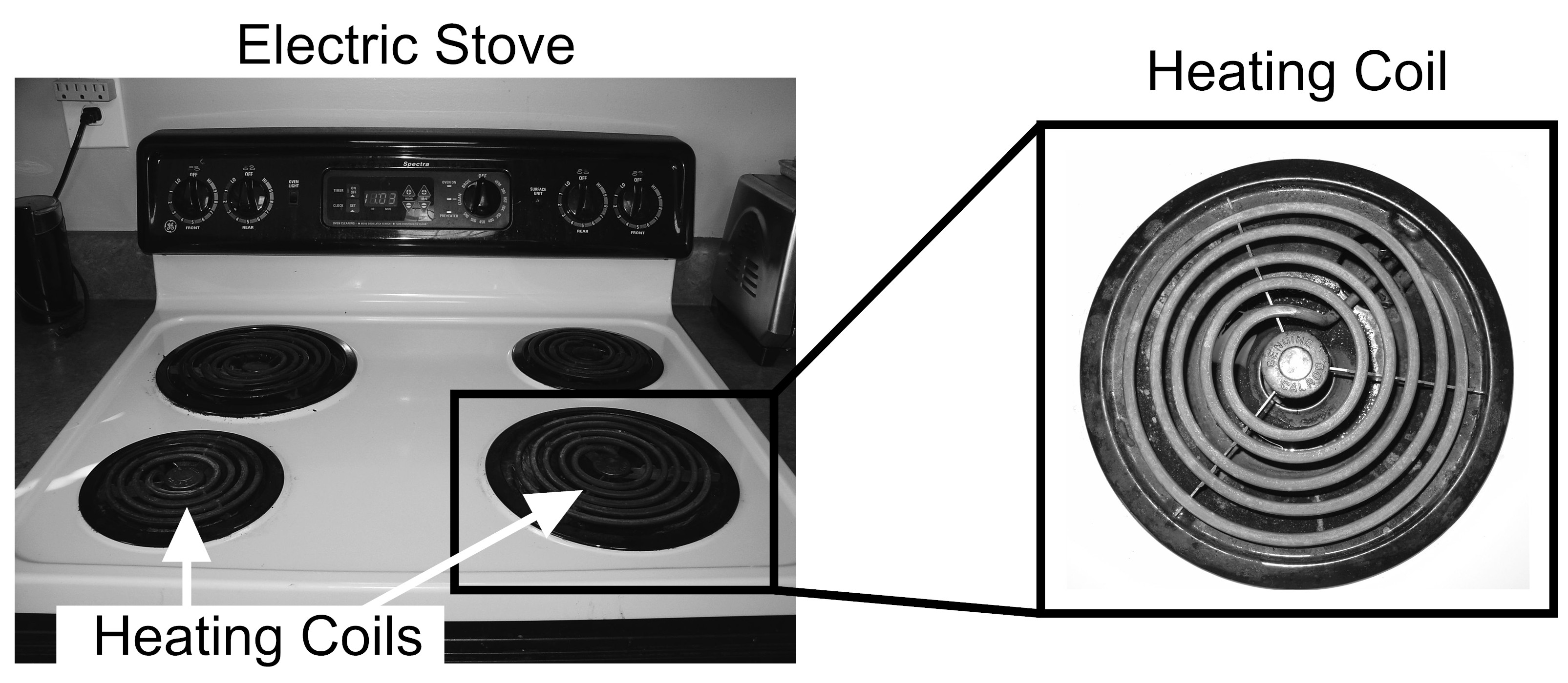 science-assessment-items-ng035002